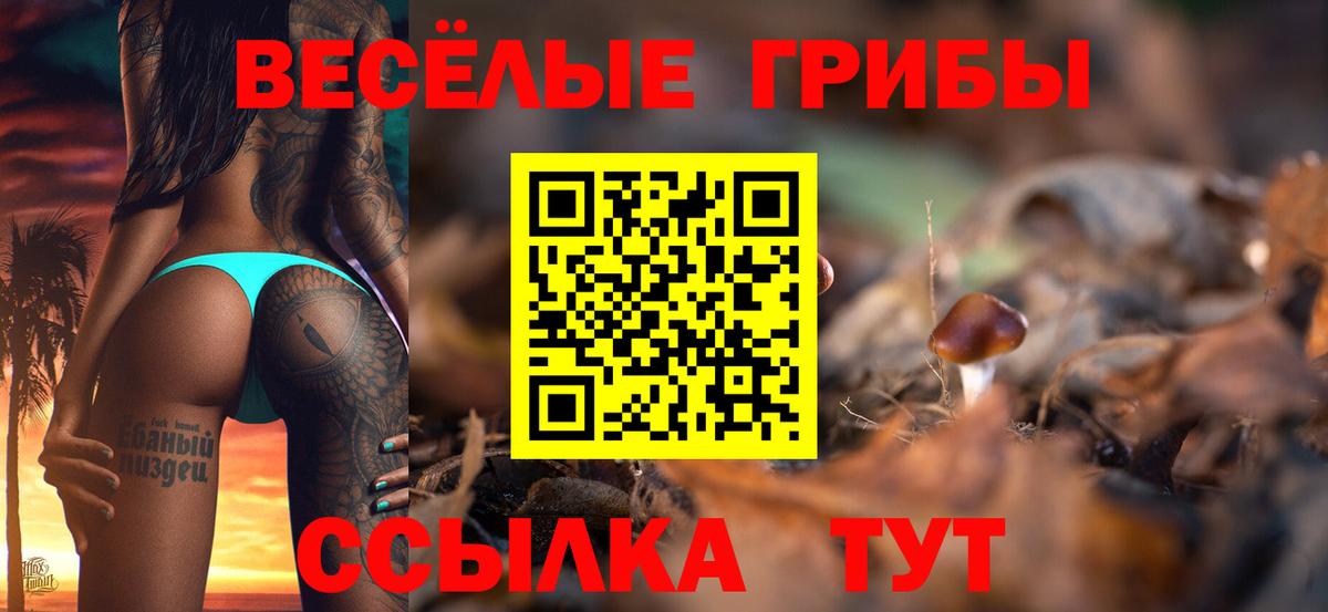 Псилоцибиновые грибы ЛСД  Вход с VPN  Набережные Челны  Галлюциногенные грибы ЛСД 